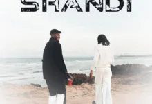 Jay Rox ft. T-Low – Shandi