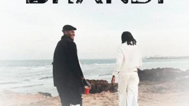 Jay Rox ft. T-Low – Shandi